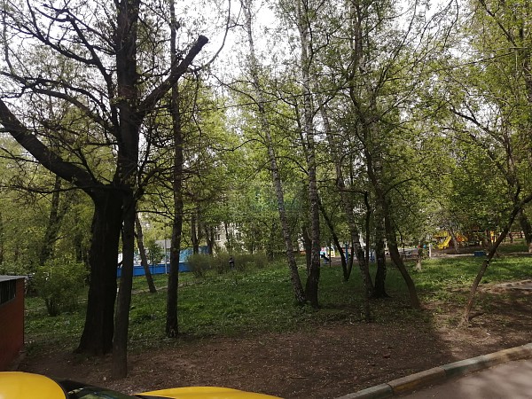 2-ка у Речного вокзала 2-ка у Речного вокзала