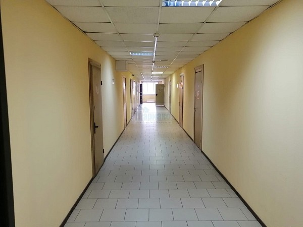 Искры 31к1 Искры 31к1