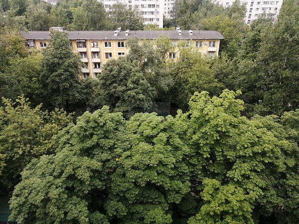 Паршина 31к2- 2ка