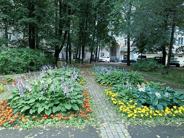 проспект мира 180 -3х