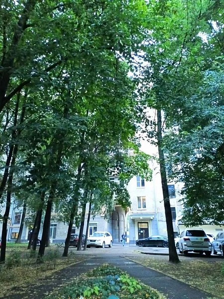 проспект мира 180 -3х